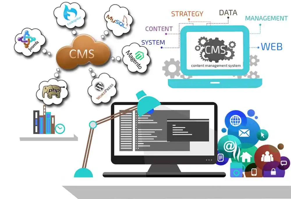 CMS